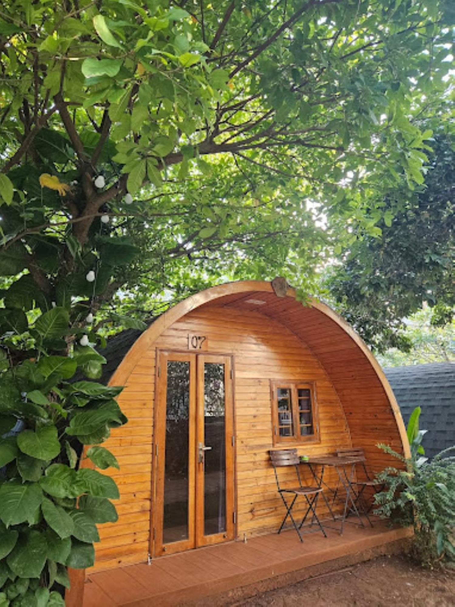 Sea Mountain Bungalow فونج تاو المظهر الخارجي الصورة